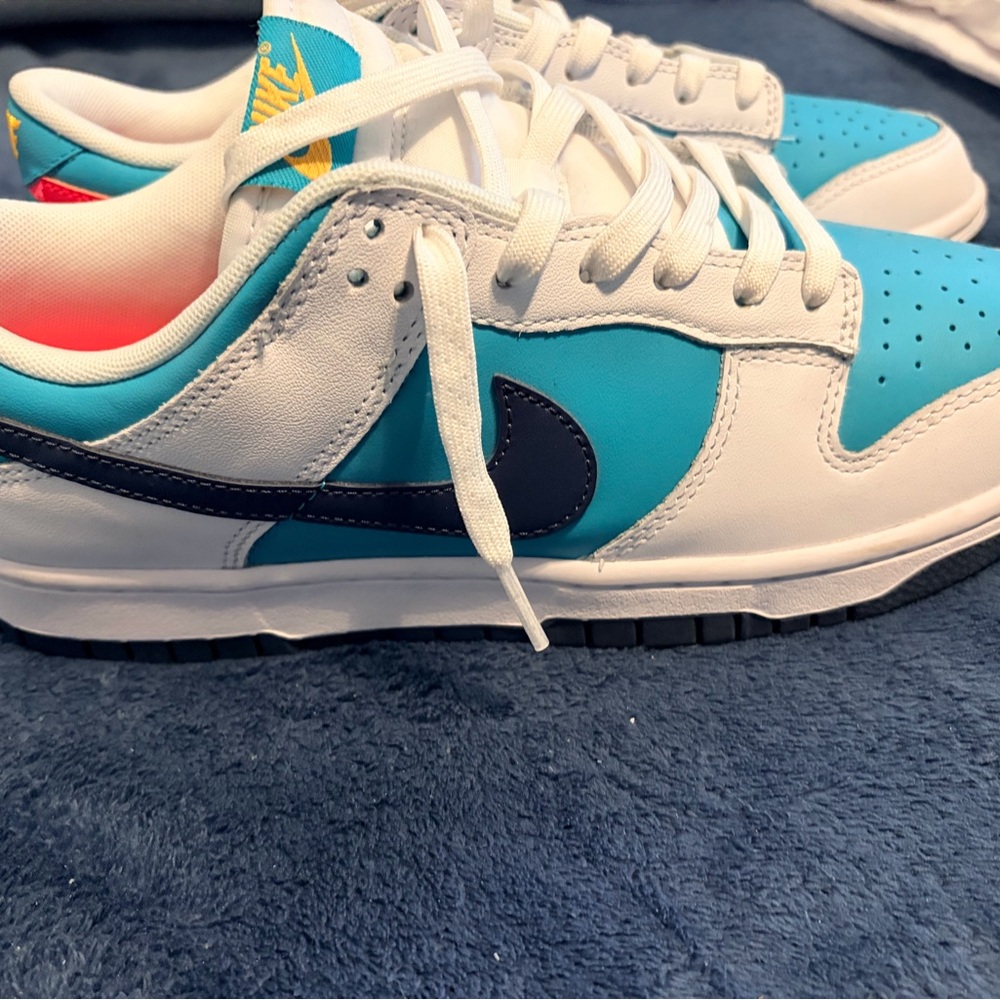 Nike Dusty Cactus Dunks. Like New.